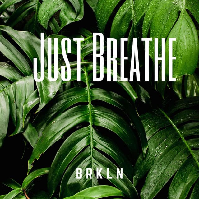 B R K L N