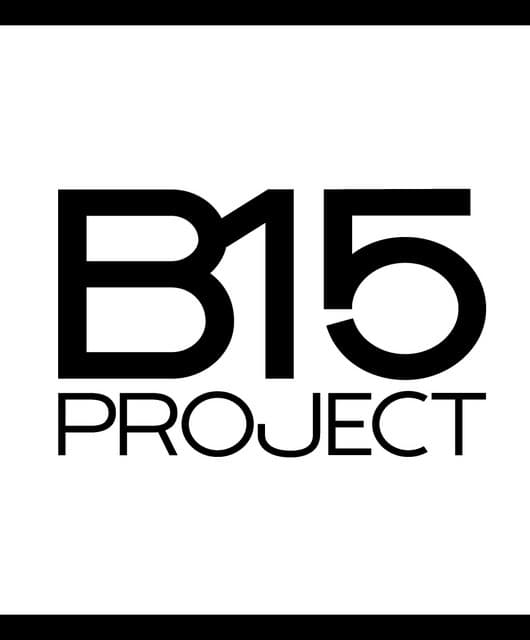 B15 Project