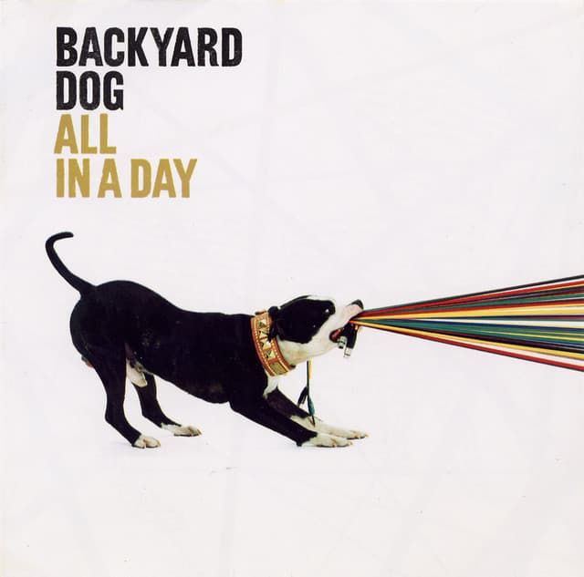 Backyard Dog