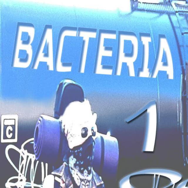 Bacteria