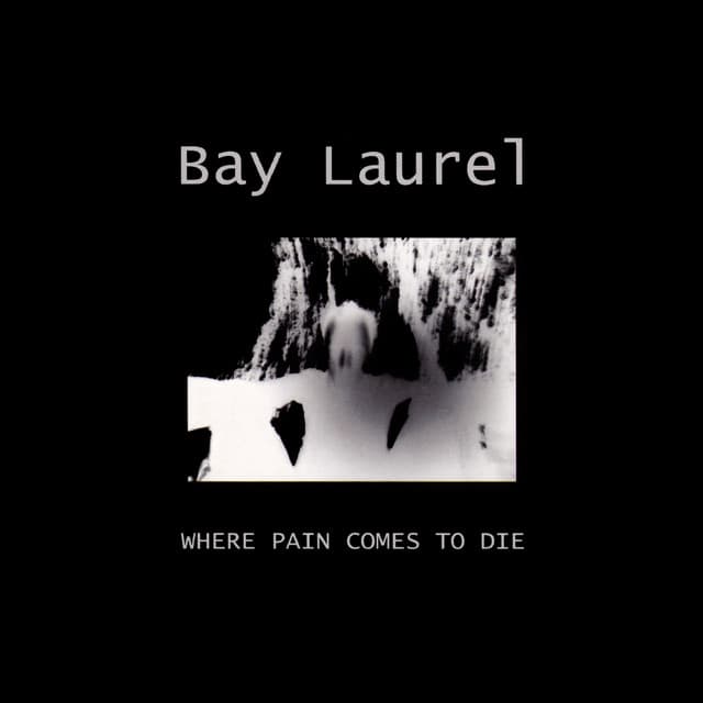 Bay Laurel