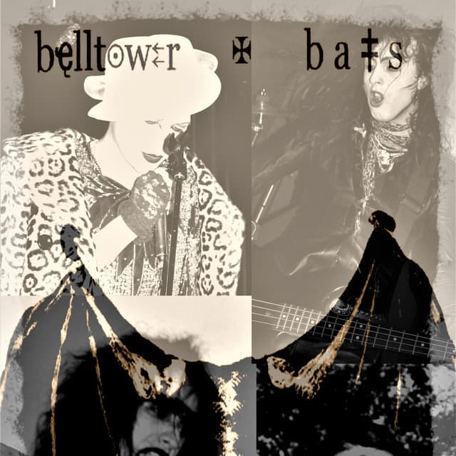 Bell Tower Bats