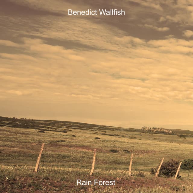 Benedict Wallfish
