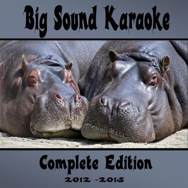 Big Sound Karaoke