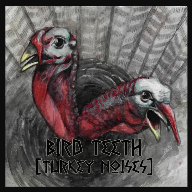 Bird Teeth