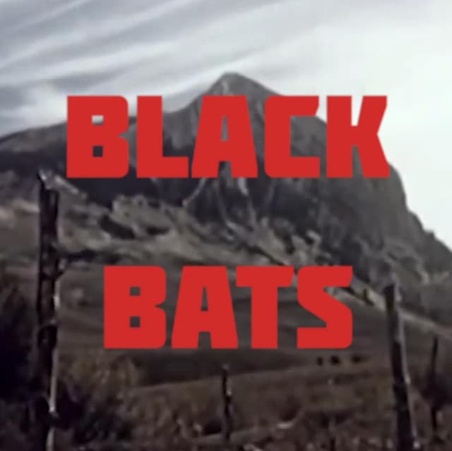 Black Bats