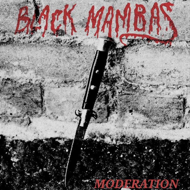 Black Mambas
