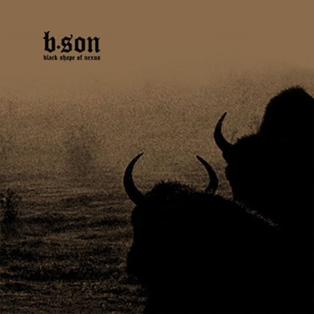 Black Shape Of Nexus
