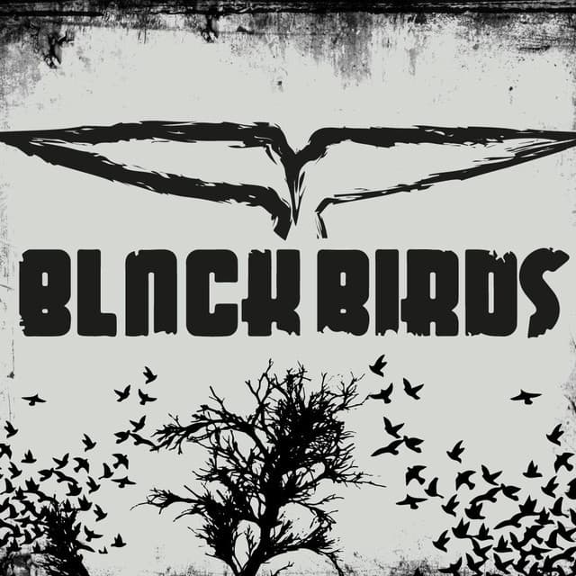 Blackbirds