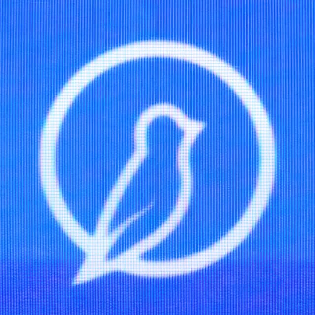 Bluebird Wood