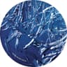Bluetrain