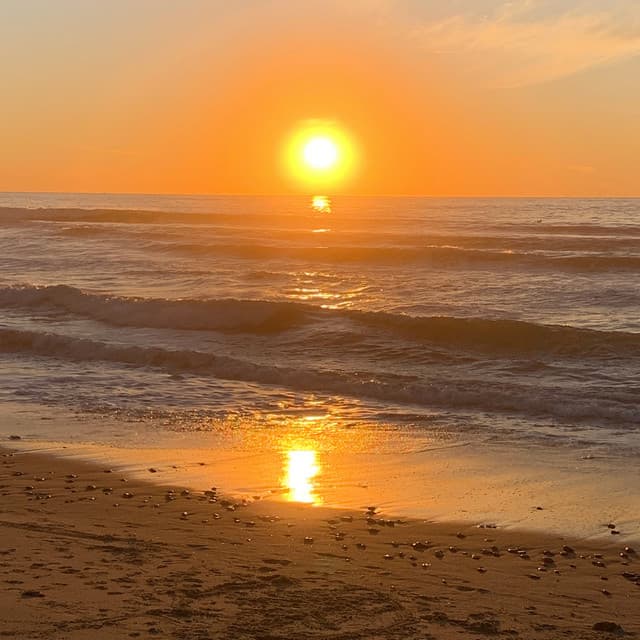 Cali Dubs