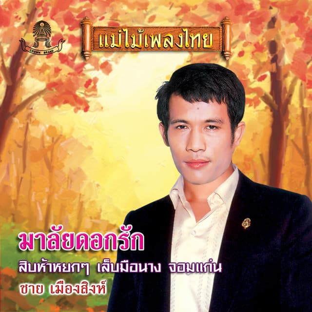 ชาย เมืองสิงห์