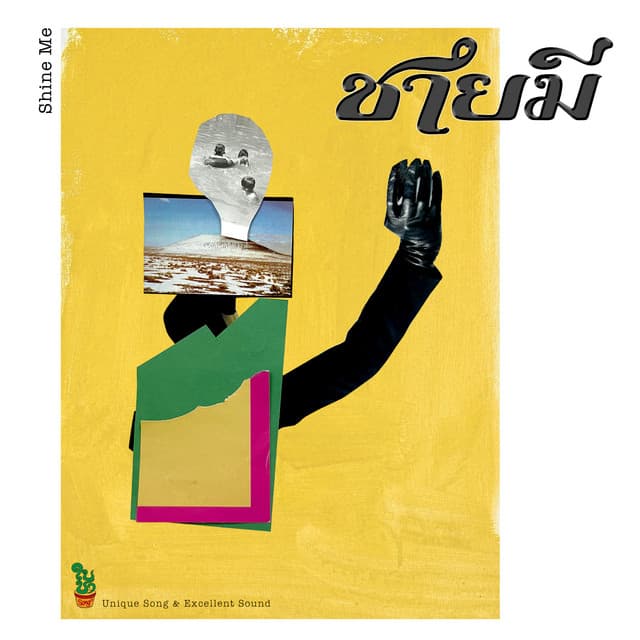 ชายมี