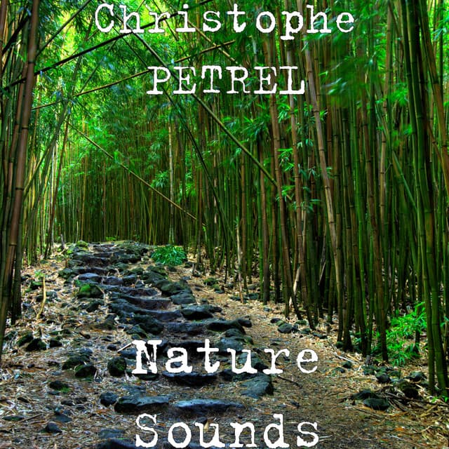 Christophe Petrel