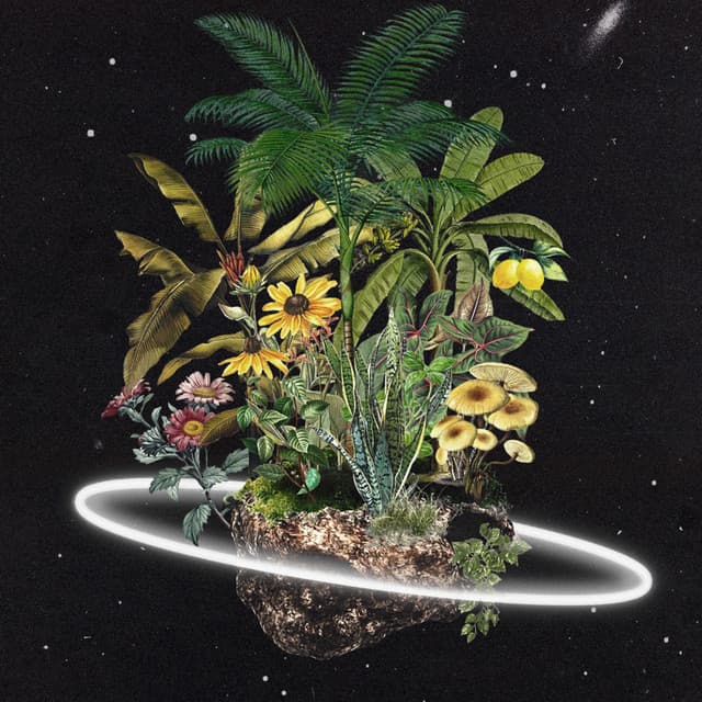 Cosmic Gardens