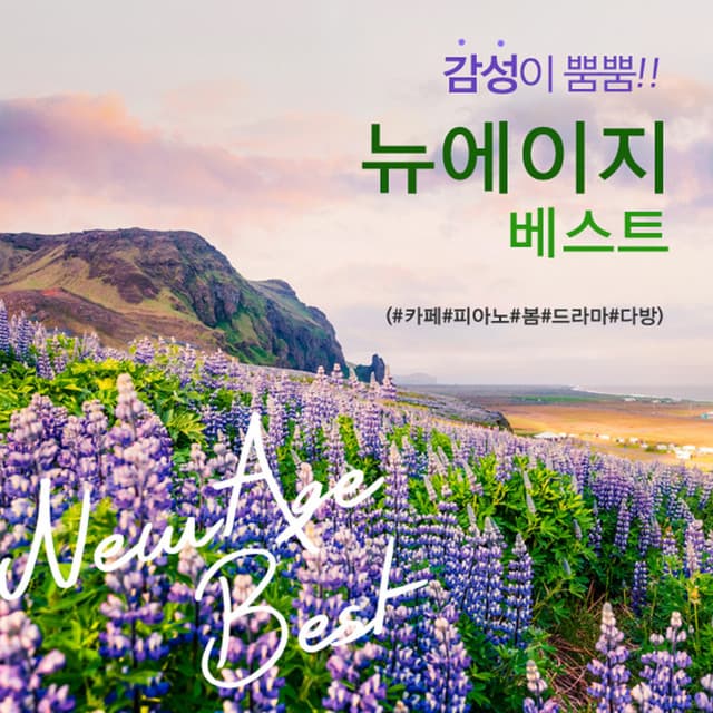 달콤한꿈