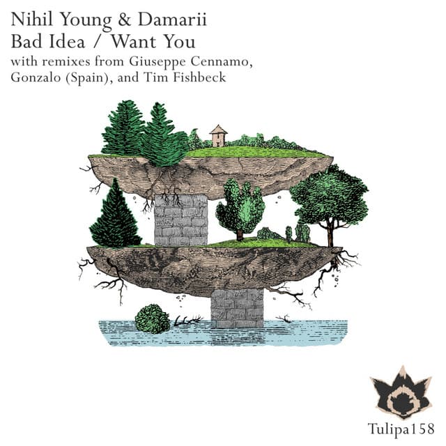 Damarii