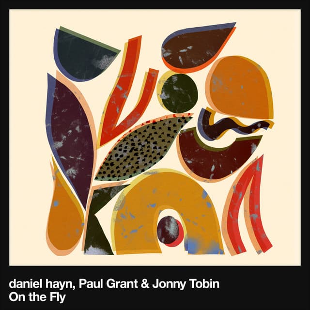 daniel hayn