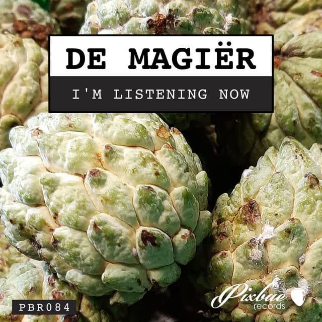 De Magiër