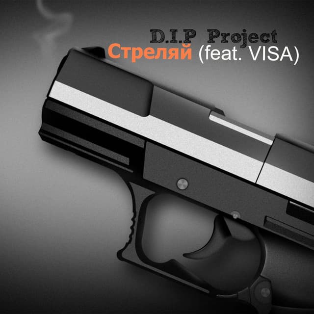 D.I.P. Project
