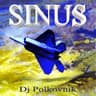 DJ Polkovnik