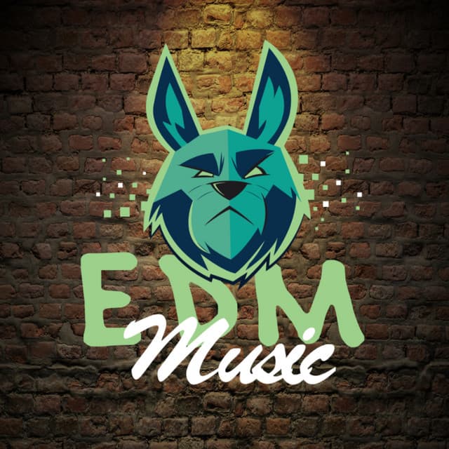 EDM MUSIC