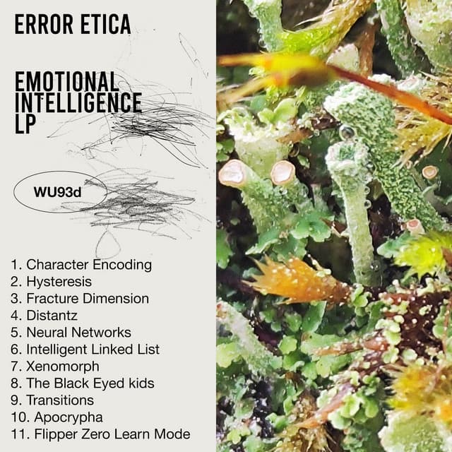Error Etica
