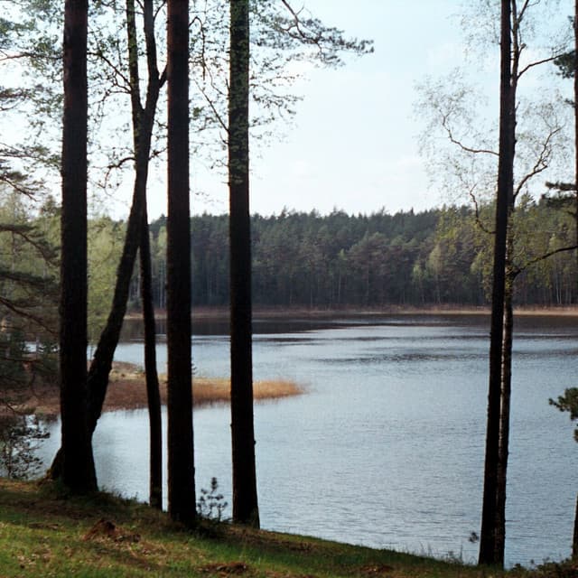 Сны Матильды