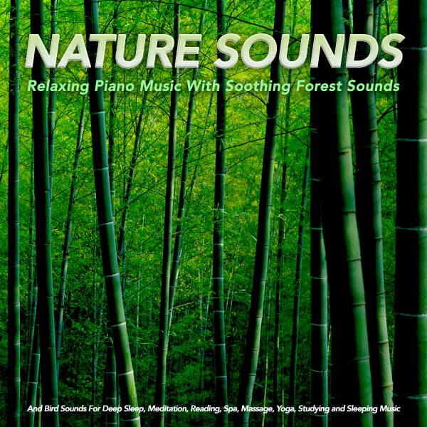 Forest Sounds
