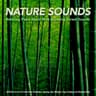 Forest Sounds