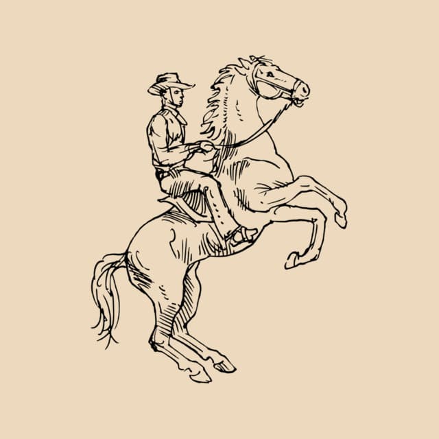 GLITTER COWBOY