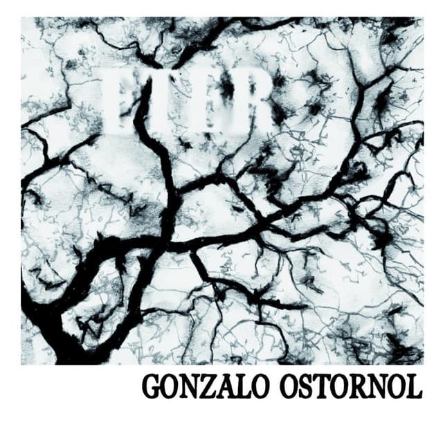 Gonzalo Ostornol