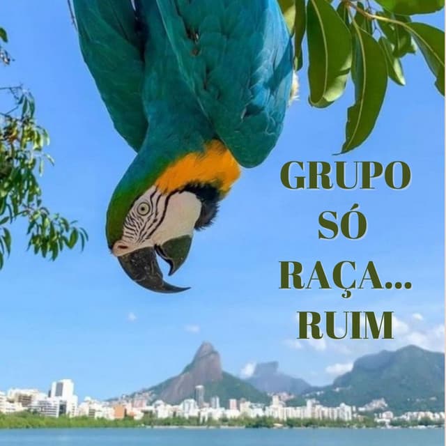 Grupo Só Raça... Ruim