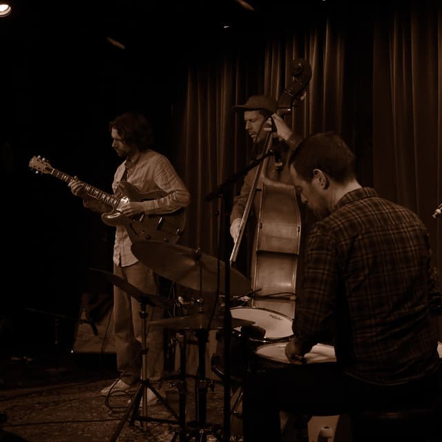 Gustav Lundgren Trio