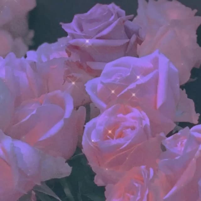 皓然R.H