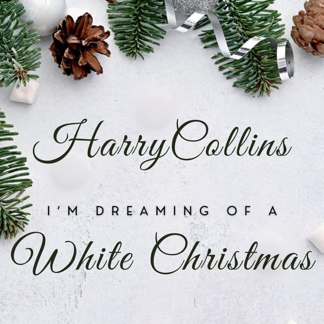 Harry Collins Swing Vocalist