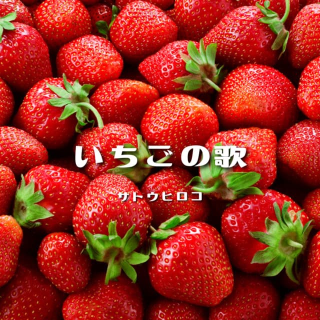 HirokoSato