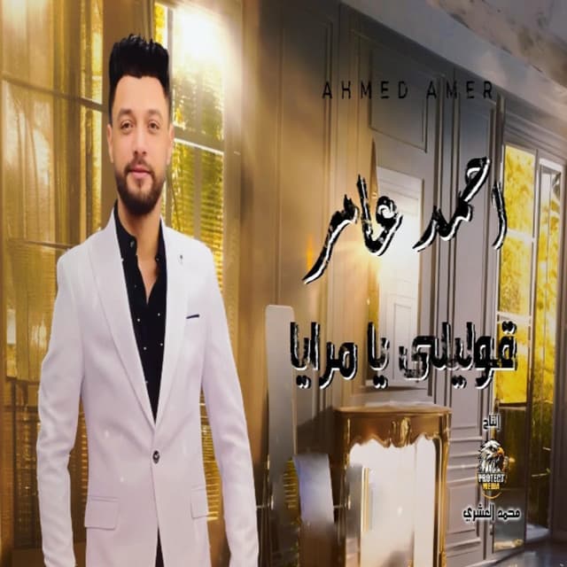 احمد عامر