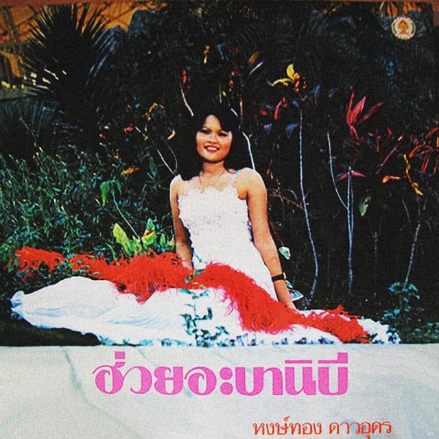 หงษ์ทอง ดาวอุดร