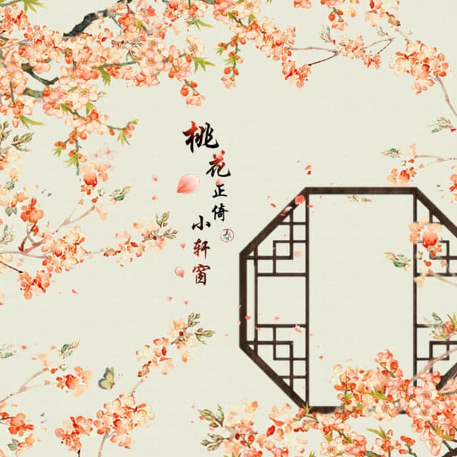 胡琴范儿