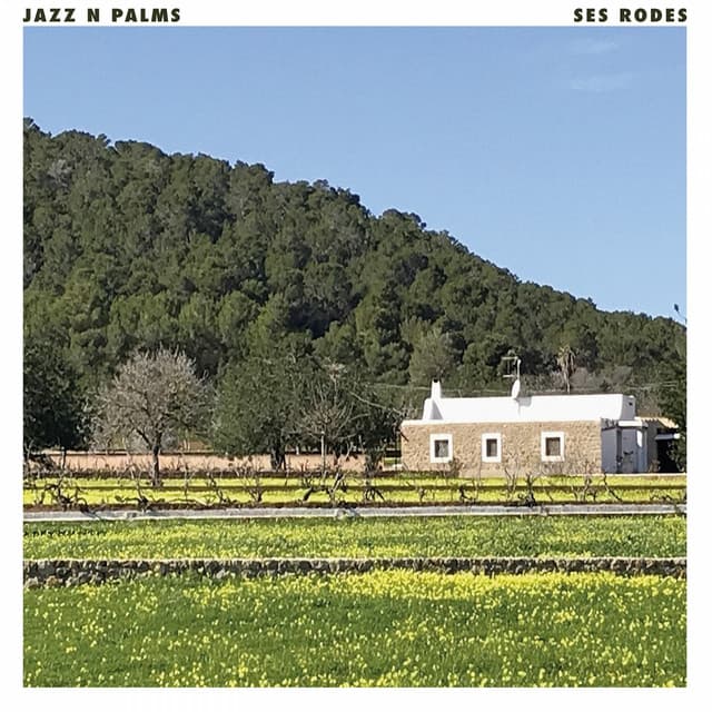 Jazz N Palms
