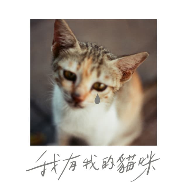 金魚腦