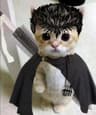 jinnwilliam