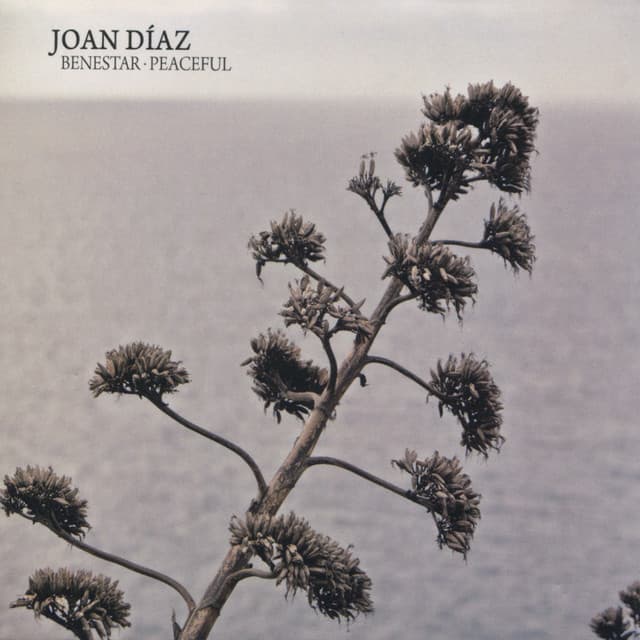 Joan Díaz