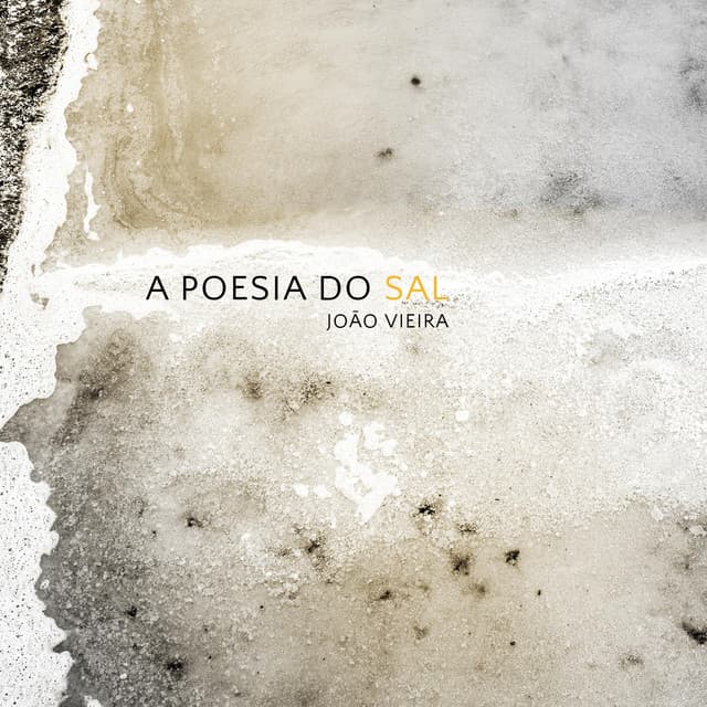 João Vieira