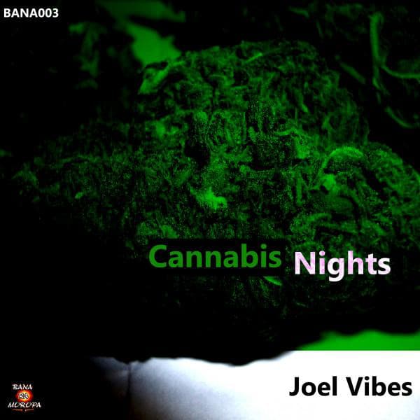 Joel Vibes
