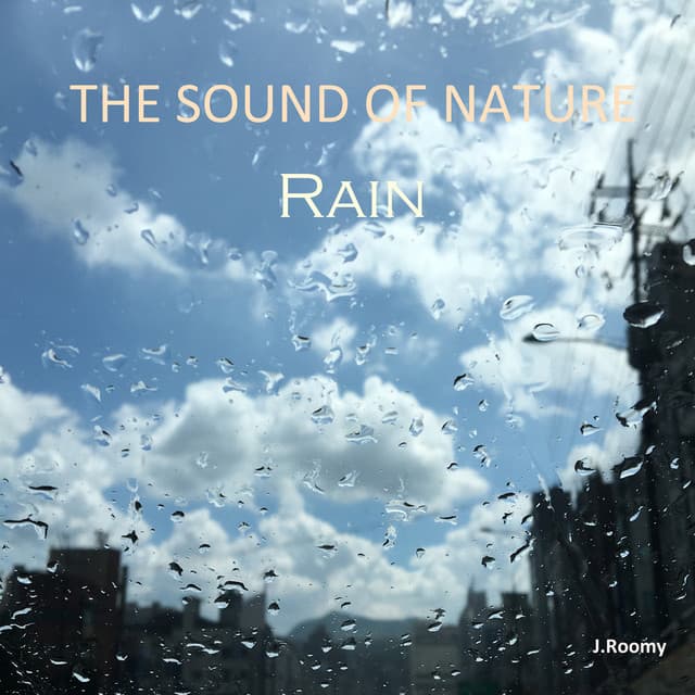 J.Roomy (White Noise)