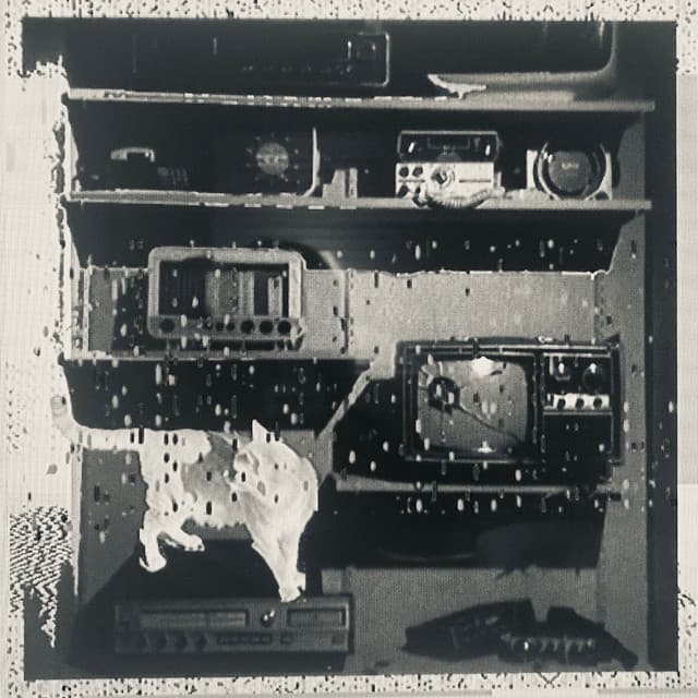 K-Domestic