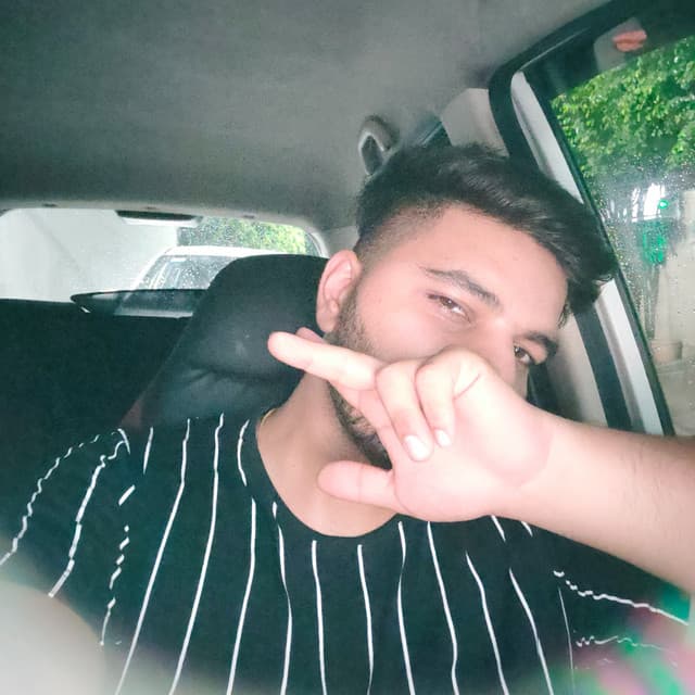 Kaim Bunny